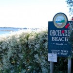 Orchard Beach, Squantum