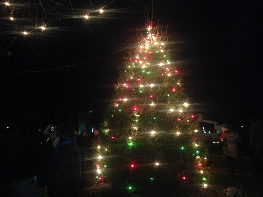 Squantum Tree Lighting 2015